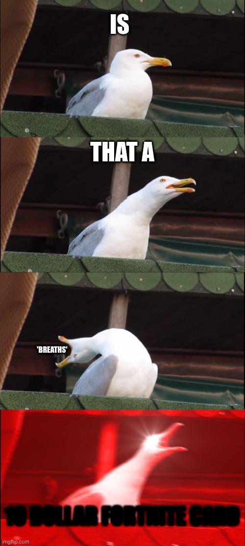 Inhaling Seagull | IS; THAT A; 'BREATHS'; 19 DOLLAR FORTNITE CARD | image tagged in memes,inhaling seagull | made w/ Imgflip meme maker