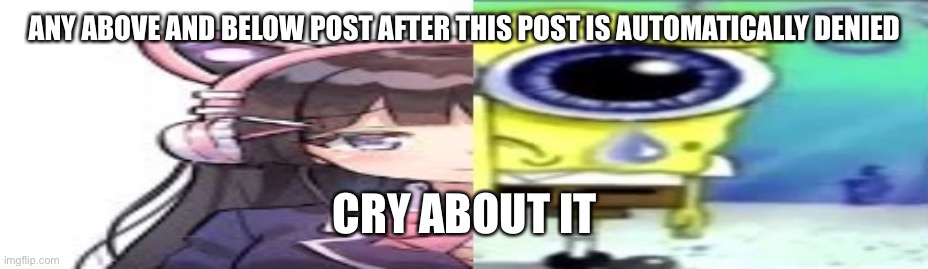 lol | ANY ABOVE AND BELOW POST AFTER THIS POST IS AUTOMATICALLY DENIED; CRY ABOUT IT | image tagged in lol | made w/ Imgflip meme maker