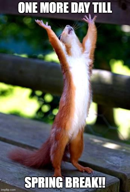 Squirrel, Hands Raised | ONE MORE DAY TILL; SPRING BREAK!! | image tagged in squirrel hands raised | made w/ Imgflip meme maker