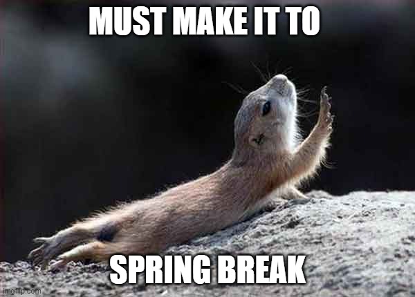 go on without me squirrel | MUST MAKE IT TO; SPRING BREAK | image tagged in go on without me squirrel | made w/ Imgflip meme maker