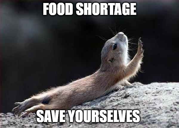 go on without me squirrel | FOOD SHORTAGE; SAVE YOURSELVES | image tagged in go on without me squirrel | made w/ Imgflip meme maker