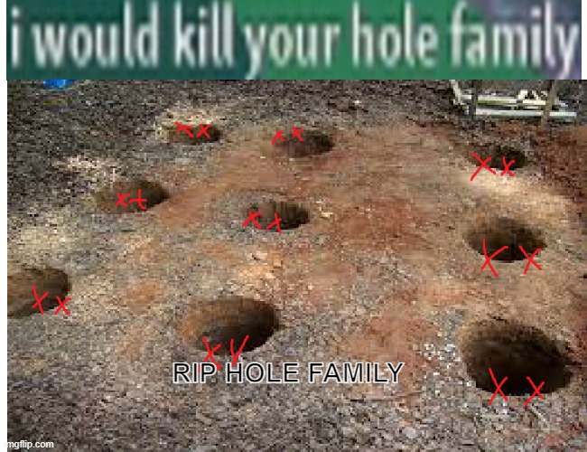 RIP HOLE FAMILY | RIP HOLE FAMILY | image tagged in holes,family | made w/ Imgflip meme maker