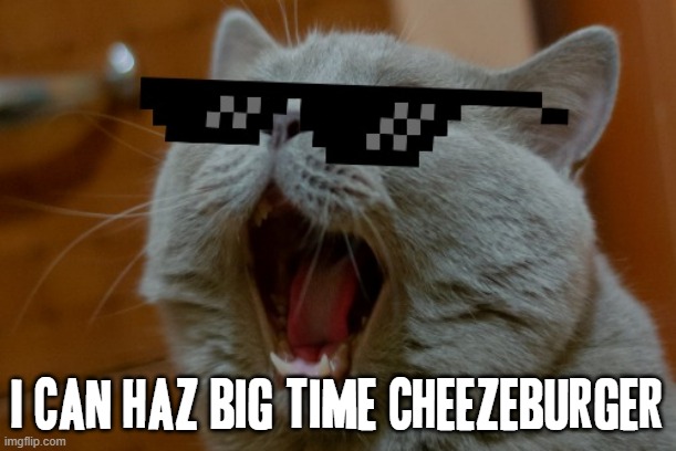 I had to redo this one because I kinda accidentally typed "cheezegurber" when i meant to type "cheezeburger" on my last try XD |  I CAN HAZ BIG TIME CHEEZEBURGER | image tagged in cats,funny,dank memes,funny cats,i can has cheezburger cat,memes | made w/ Imgflip meme maker