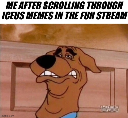 Scooby Cringe | ME AFTER SCROLLING THROUGH ICEUS MEMES IN THE FUN STREAM | image tagged in scooby cringe | made w/ Imgflip meme maker