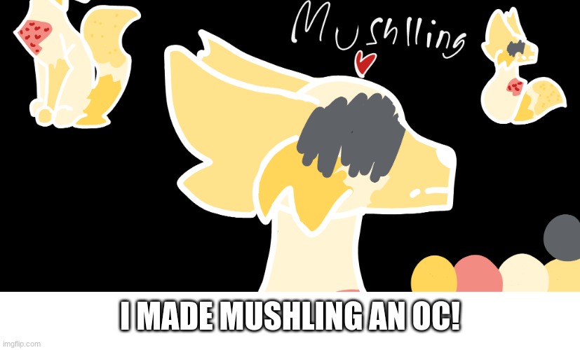 Cat OC for Mushling! :D | I MADE MUSHLING AN OC! | image tagged in cats | made w/ Imgflip meme maker