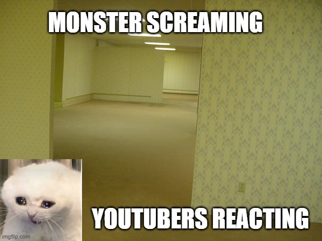 Im actually terrified because this is like a dream-core place yknow | MONSTER SCREAMING; YOUTUBERS REACTING | image tagged in the backrooms,scared cat | made w/ Imgflip meme maker