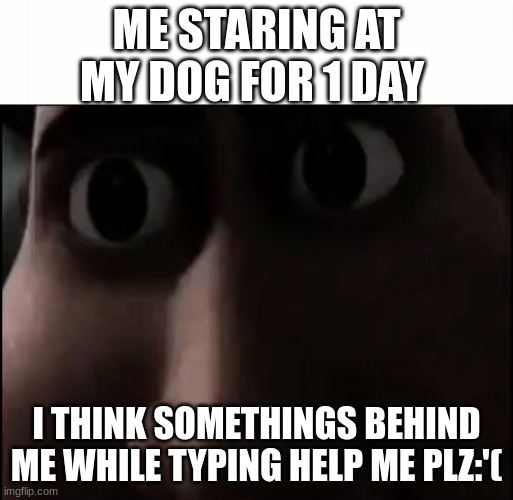 Titan Staring | ME STARING AT MY DOG FOR 1 DAY; I THINK SOMETHINGS BEHIND ME WHILE TYPING HELP ME PLZ:'( | image tagged in titan staring | made w/ Imgflip meme maker