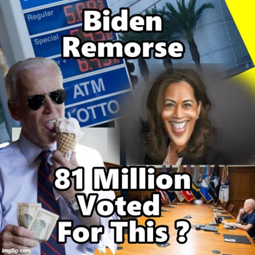 Where Did the 81 Million Voters Go ?? | image tagged in vote,biden,memes,buyers remorse | made w/ Imgflip meme maker