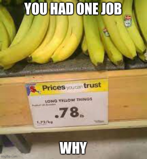 Why | YOU HAD ONE JOB; WHY | image tagged in you had one job | made w/ Imgflip meme maker