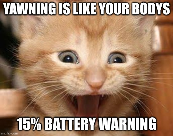 Excited Cat | YAWNING IS LIKE YOUR BODYS; 15% BATTERY WARNING | image tagged in memes,excited cat | made w/ Imgflip meme maker