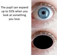 Pupil & Love Blank Meme Template