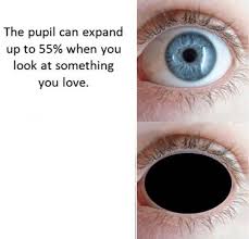 High Quality Pupil & Love Blank Meme Template