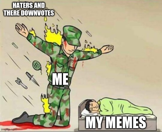 lol | HATERS AND THERE DOWNVOTES; ME; MY MEMES | image tagged in soldier protecting sleeping child | made w/ Imgflip meme maker