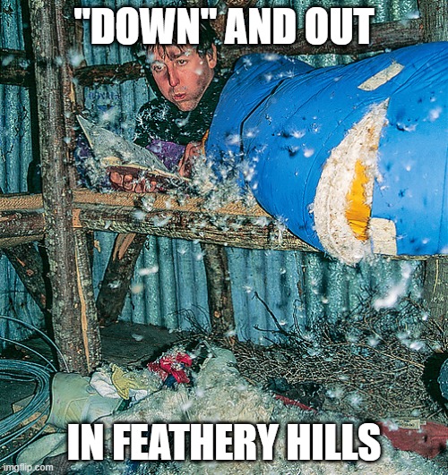 bales of bocain fallin like the pourin rain | "DOWN" AND OUT; IN FEATHERY HILLS | image tagged in feathers,down,birds of a feather,goose,duck,birds | made w/ Imgflip meme maker
