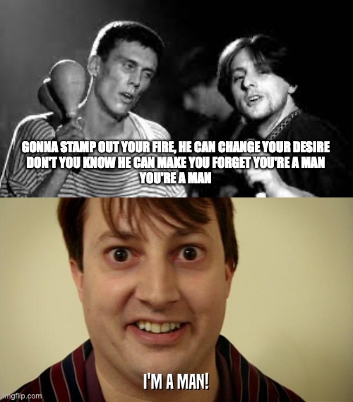 Peep Show/Happy Mondays | GONNA STAMP OUT YOUR FIRE, HE CAN CHANGE YOUR DESIRE
DON'T YOU KNOW HE CAN MAKE YOU FORGET YOU'RE A MAN
YOU'RE A MAN | image tagged in memes | made w/ Imgflip meme maker