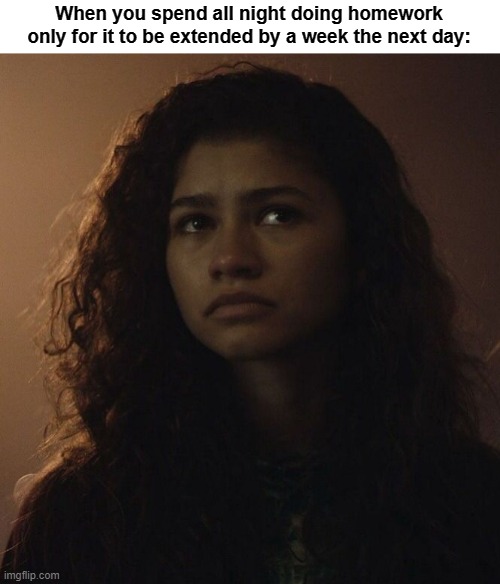 Yup, you can feel the inner pain | When you spend all night doing homework only for it to be extended by a week the next day: | image tagged in sad zendaya euphoria | made w/ Imgflip meme maker