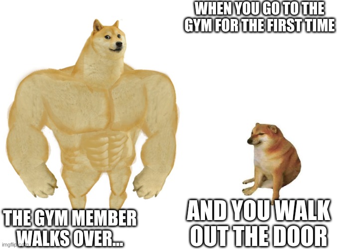 Big dog small dog | WHEN YOU GO TO THE GYM FOR THE FIRST TIME; AND YOU WALK OUT THE DOOR; THE GYM MEMBER WALKS OVER... | image tagged in big dog small dog | made w/ Imgflip meme maker