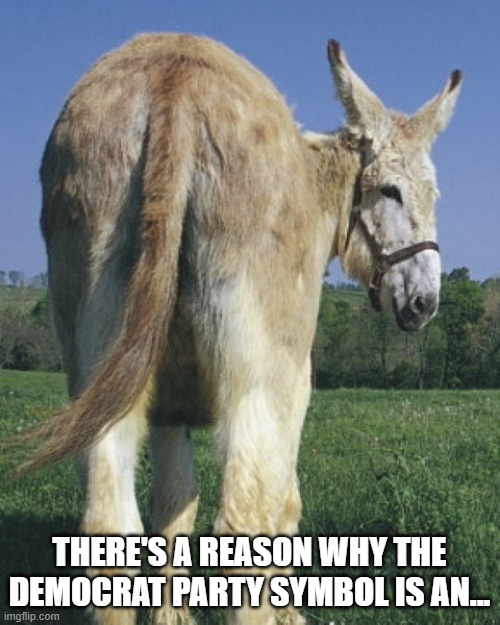 THERE'S A REASON WHY THE DEMOCRAT PARTY SYMBOL IS AN... | made w/ Imgflip meme maker