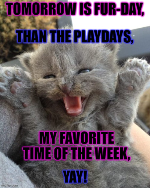 Yay Kitty | TOMORROW IS FUR-DAY, THAN THE PLAYDAYS, MY FAVORITE TIME OF THE WEEK, YAY! | image tagged in yay kitty | made w/ Imgflip meme maker