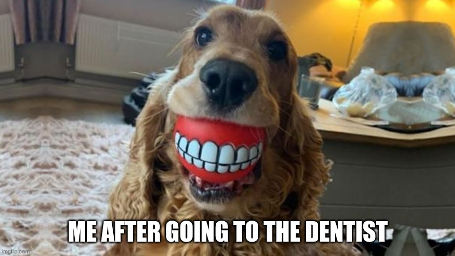 dog meme | ME AFTER GOING TO THE DENTIST | image tagged in funny memes,funny dog memes | made w/ Imgflip meme maker