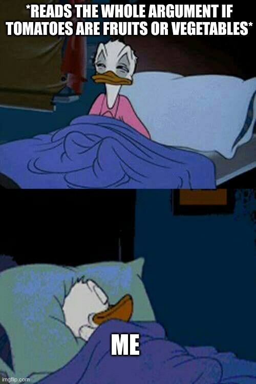 *READS THE WHOLE ARGUMENT IF TOMATOES ARE FRUITS OR VEGETABLES* ME | image tagged in sleepy donald duck in bed | made w/ Imgflip meme maker