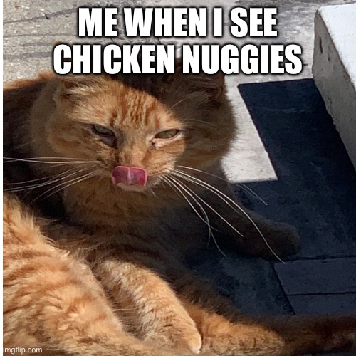 Gib chicky nuggies | ME WHEN I SEE CHICKEN NUGGIES | image tagged in funny cat memes | made w/ Imgflip meme maker