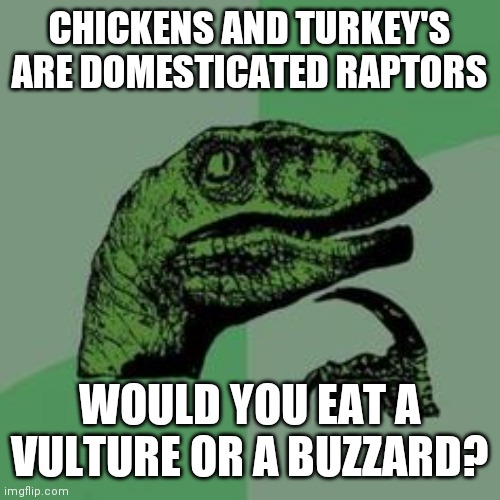 Buy a meal, get a pair of shoes | CHICKENS AND TURKEY'S ARE DOMESTICATED RAPTORS; WOULD YOU EAT A VULTURE OR A BUZZARD? | image tagged in time raptor,no,asshole | made w/ Imgflip meme maker