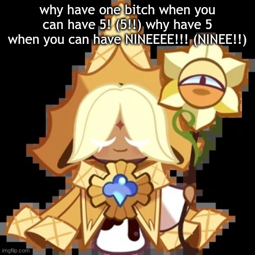 purevanilla | why have one bitch when you can have 5! (5!!) why have 5 when you can have NINEEEE!!! (NINEE!!) | image tagged in purevanilla | made w/ Imgflip meme maker