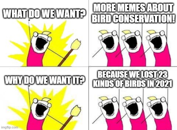 Please help protect and conserve birds | WHAT DO WE WANT? MORE MEMES ABOUT BIRD CONSERVATION! BECAUSE WE LOST 23 KINDS OF BIRDS IN 2021; WHY DO WE WANT IT? | image tagged in memes,what do we want | made w/ Imgflip meme maker