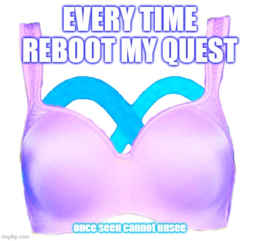 Quest Re-Booty | EVERY TIME REBOOT MY QUEST; once seen cannot unsee | image tagged in meta,quest,facebook,reboot,boobs | made w/ Imgflip meme maker