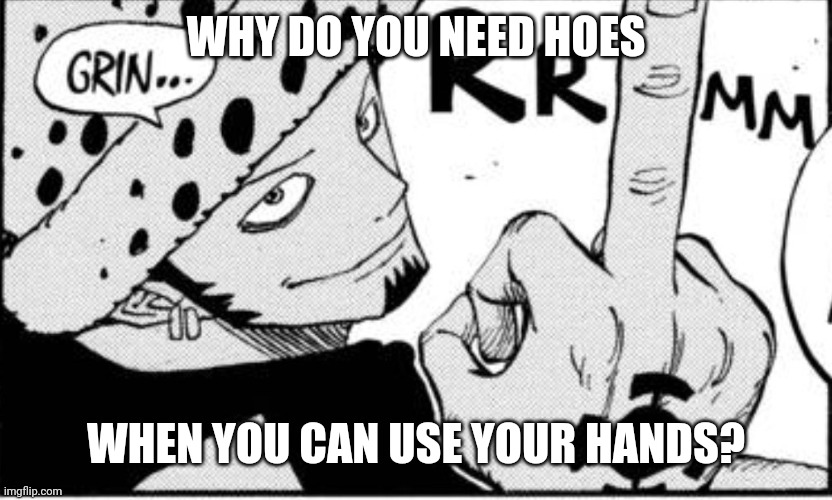 Wooden hoes break fast anyways :skull: | WHY DO YOU NEED HOES; WHEN YOU CAN USE YOUR HANDS? | image tagged in law middle finger | made w/ Imgflip meme maker