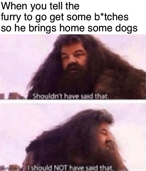 Shouldn't have said that | When you tell the furry to go get some b*tches so he brings home some dogs | image tagged in shouldn't have said that | made w/ Imgflip meme maker