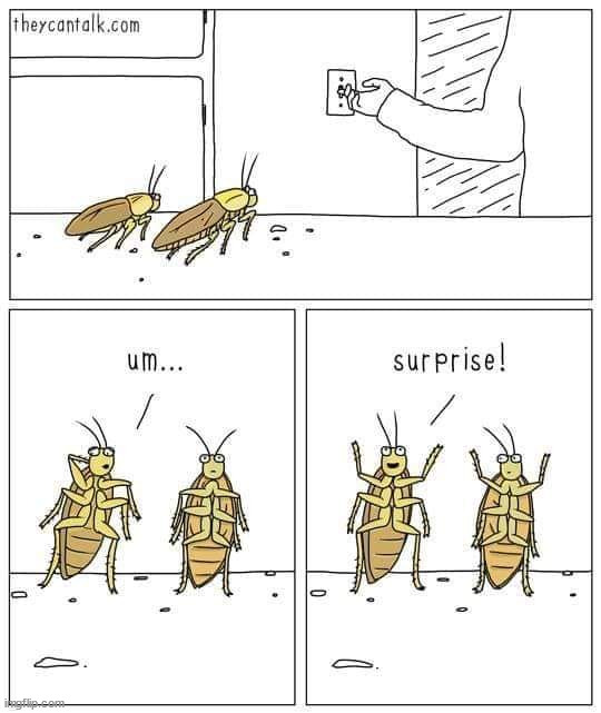 image tagged in comics/cartoons | made w/ Imgflip meme maker