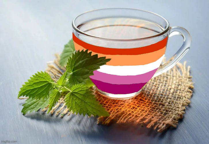Lesbian Tea! | image tagged in lgbtq | made w/ Imgflip meme maker