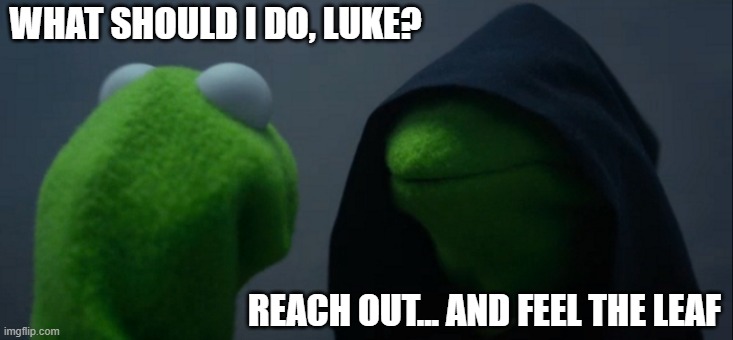 Luke Skywalker Meme | WHAT SHOULD I DO, LUKE? REACH OUT... AND FEEL THE LEAF | image tagged in memes,evil kermit,luke skywalker,rey,starwars,kermit starwars | made w/ Imgflip meme maker
