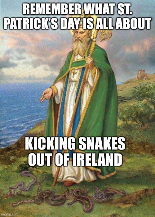 St. Patrick’s Day | REMEMBER WHAT ST. PATRICK’S DAY IS ALL ABOUT; KICKING SNAKES OUT OF IRELAND | image tagged in st patrick's day,st patrick,snakes,snake,irish,ireland | made w/ Imgflip meme maker