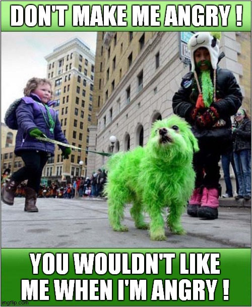 Happy St Patrick's Day ! | DON'T MAKE ME ANGRY ! YOU WOULDN'T LIKE ME WHEN I'M ANGRY ! | image tagged in fun,st patrick's day,green,dogs | made w/ Imgflip meme maker