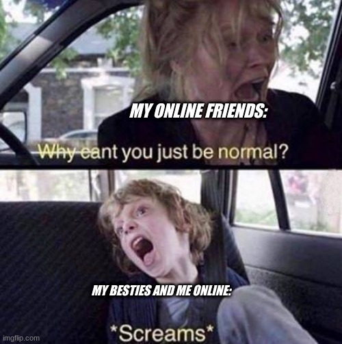 Why Can't You Just Be Normal | MY ONLINE FRIENDS:; MY BESTIES AND ME ONLINE: | image tagged in why can't you just be normal,best friends,video games | made w/ Imgflip meme maker
