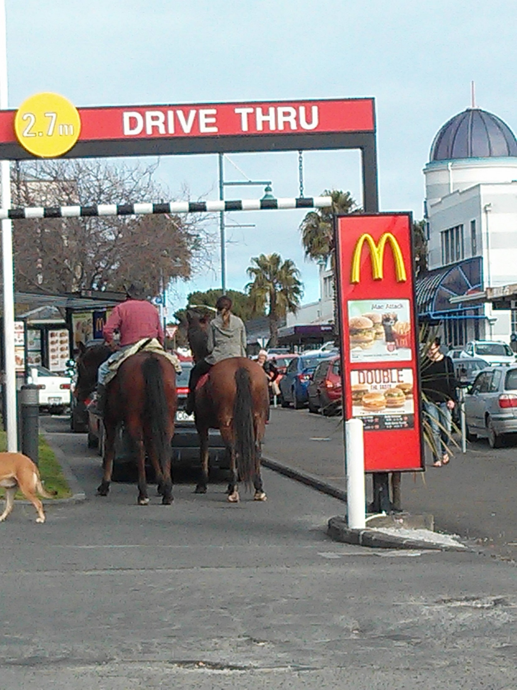 McDonald's horse drive thru Blank Meme Template