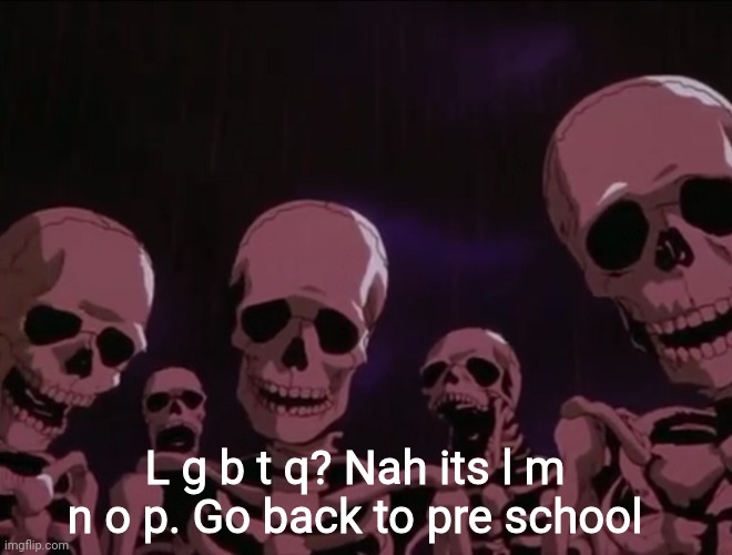 Hater skeletons | L g b t q? Nah its l m n o p. Go back to pre school | image tagged in hater skeletons | made w/ Imgflip meme maker