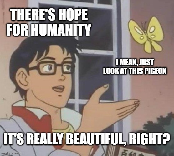 classic pigeon guy, with a new optomistic flavor | THERE'S HOPE FOR HUMANITY; I MEAN, JUST LOOK AT THIS PIGEON; IT'S REALLY BEAUTIFUL, RIGHT? | image tagged in memes,is this a pigeon | made w/ Imgflip meme maker