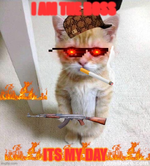 Cute Cat Meme | I AM THE BOSS; ITS MY DAY | image tagged in memes,cute cat | made w/ Imgflip meme maker
