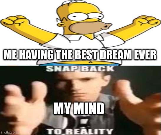 snap back to reality | ME HAVING THE BEST DREAM EVER; MY MIND | image tagged in eminem,my dream,homer simpson,simpsons | made w/ Imgflip meme maker