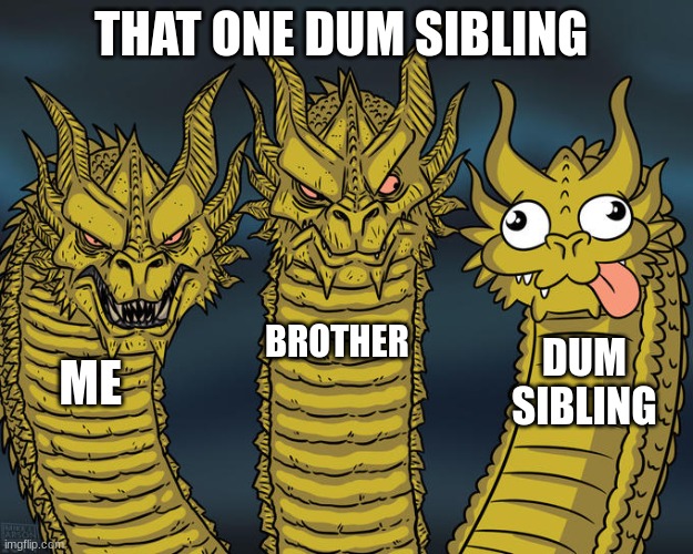 Three-headed Dragon | THAT ONE DUM SIBLING; BROTHER; DUM SIBLING; ME | image tagged in three-headed dragon | made w/ Imgflip meme maker