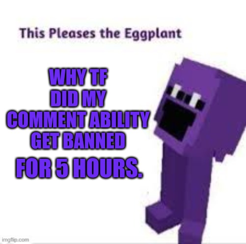 This pleases the eggplant | WHY TF DID MY COMMENT ABILITY GET BANNED; FOR 5 HOURS. | image tagged in this pleases the eggplant | made w/ Imgflip meme maker