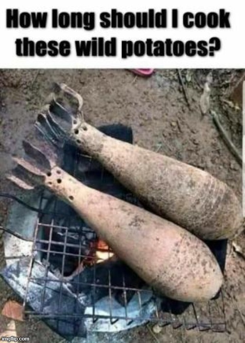 HOW LONG SHOULD I COOK THESE WILD POTATOES? | made w/ Imgflip meme maker