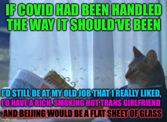 I Should Buy A Boat Cat Meme | IF COVID HAD BEEN HANDLED THE WAY IT SHOULD’VE BEEN; I’D STILL BE AT MY OLD JOB THAT I REALLY LIKED, I’D HAVE A RICH, SMOKING HOT TRANS GIRLFRIEND; AND BEIJING WOULD BE A FLAT SHEET OF GLASS | image tagged in memes,i should buy a boat cat,covid,china,job,girlfriend | made w/ Imgflip meme maker