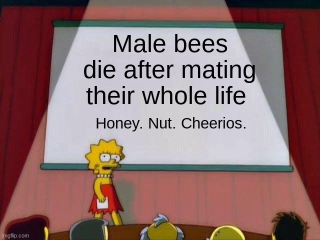 Lisa Simpson's Presentation | Male bees die after mating their whole life; Honey. Nut. Cheerios. | image tagged in lisa simpson's presentation,memes,funny,simpsons | made w/ Imgflip meme maker
