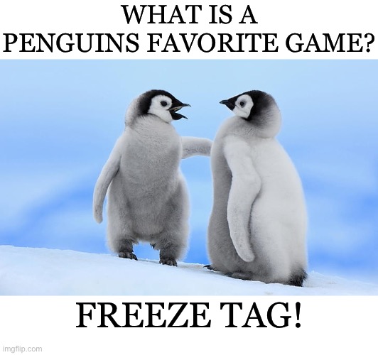 You're it! | WHAT IS A PENGUINS FAVORITE GAME? FREEZE TAG! | image tagged in funny,puns,animals | made w/ Imgflip meme maker