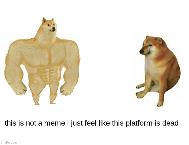 Buff Doge vs. Cheems | this is not a meme i just feel like this platform is dead | image tagged in memes,buff doge vs cheems | made w/ Imgflip meme maker